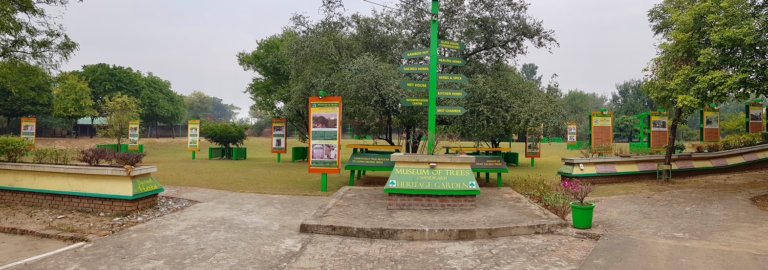 MUSEUM OF TREES – NEW ENVIRONMENTAL LANDMARK OF CHANDIGARH