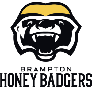 Brampton Honey Badgers Basketball Club-The new and only professional sports team within the City of Brampton