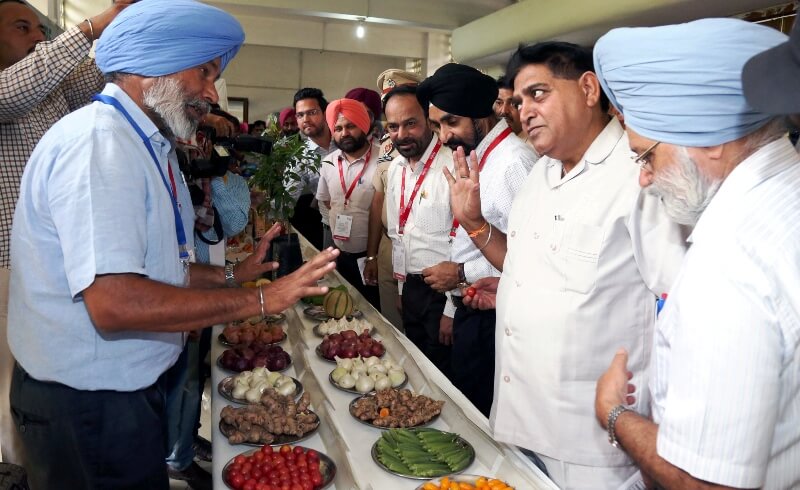 PUNJAB: FROM NATION’S FOOD BOWL TO FOOD PROCESSING HUB