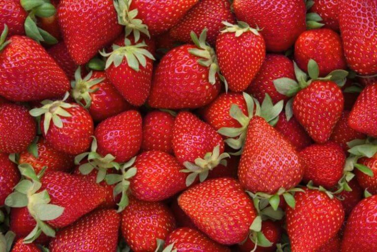 Ontario Field Strawberries are the Perfect Summer Treat