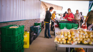 Alberta-Celebrate the holidays with local food