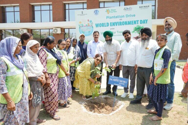 Read more about the article MC Chandigarh celebrates World Environment Day