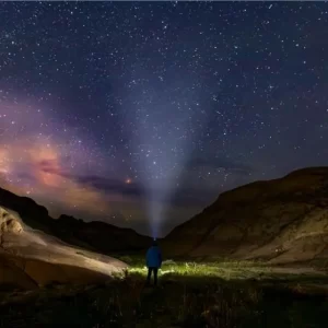 Read more about the article Canada’s global moment sets tourism sector on course for a banner 2026 and growth to 2035